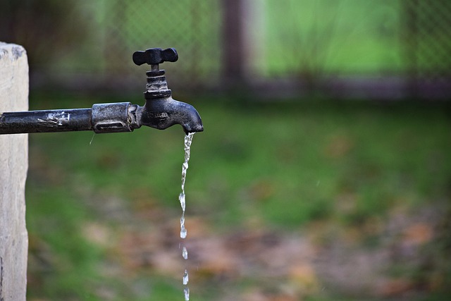 Drypbakke: En revolutionerende løsning på vandspild